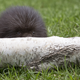 Imagen: Critterbiz / Shutterstock